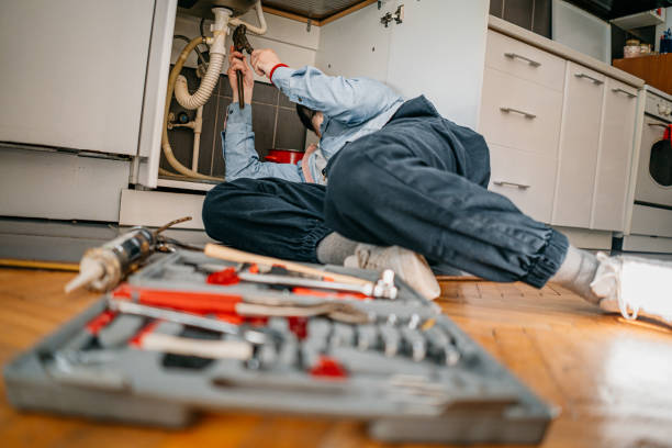 Best Plumbing Services Near Me  in Medina, MN